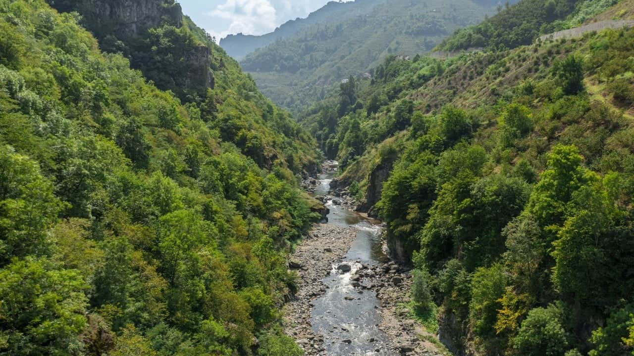 Foto - Türkiye Kültür Yolu Festivali ilk kez Ordu'da...