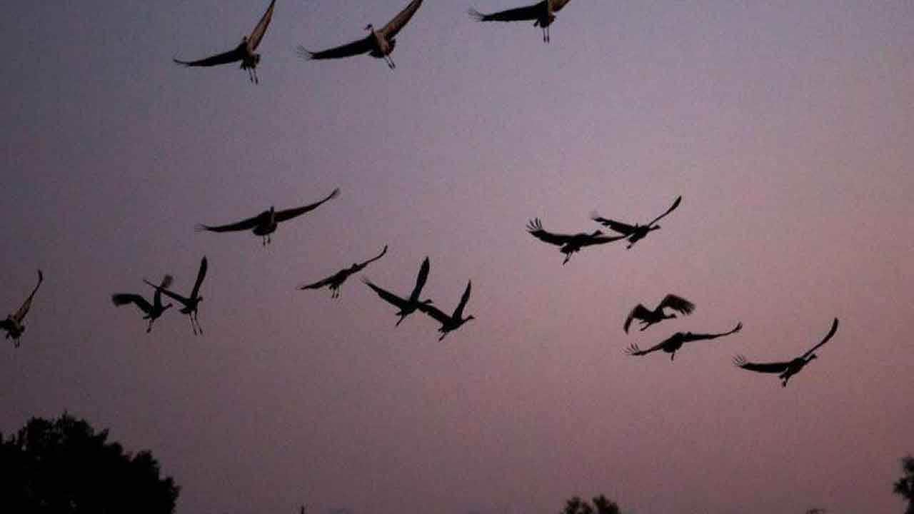 Foto - Türkiye yana yakıla koruyordu: Arap ülkesinde ateşe tutulup saldırıya uğradılar