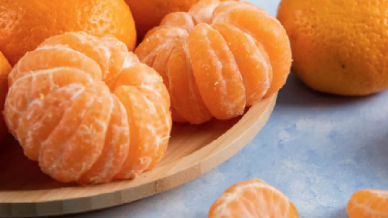 Foto - Türkiye'de çılgınlar gibi limon, mandalina, portakal almaya başladılar! Karadeniz'de fındığa artık alternatif oluyor