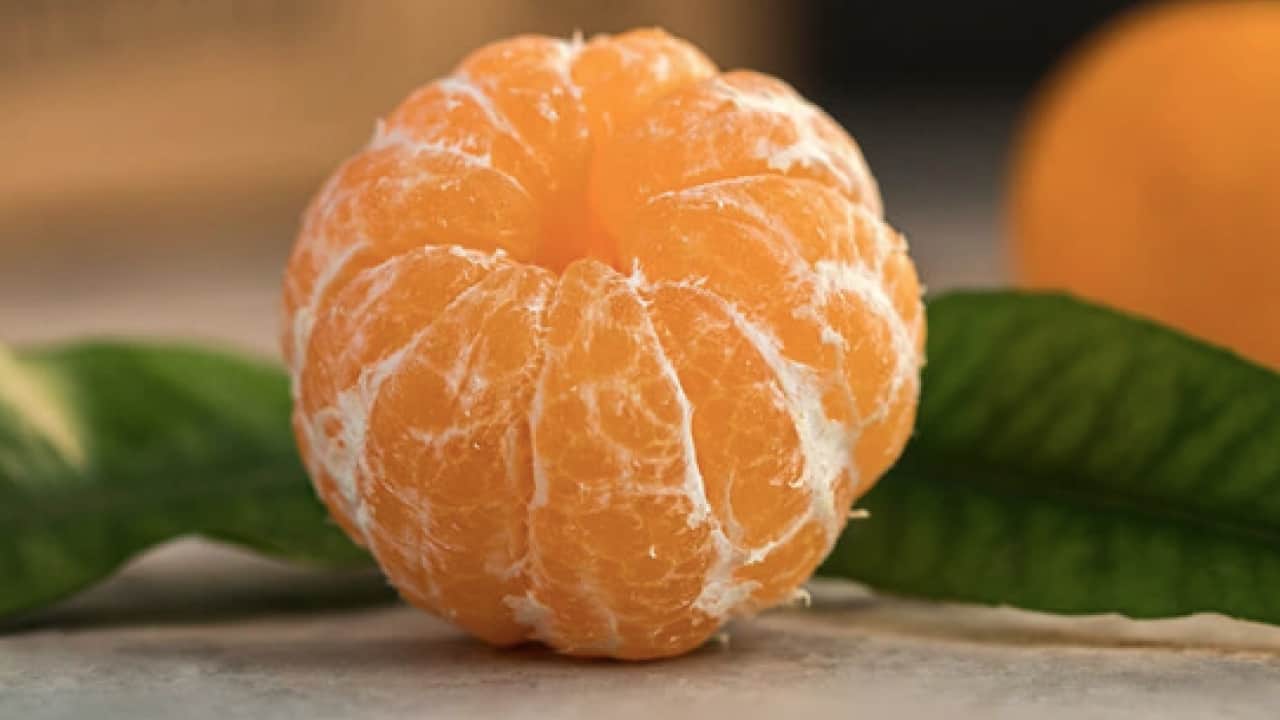 Foto - Türkiye'de çılgınlar gibi limon, mandalina, portakal almaya başladılar! Karadeniz'de fındığa artık alternatif oluyor