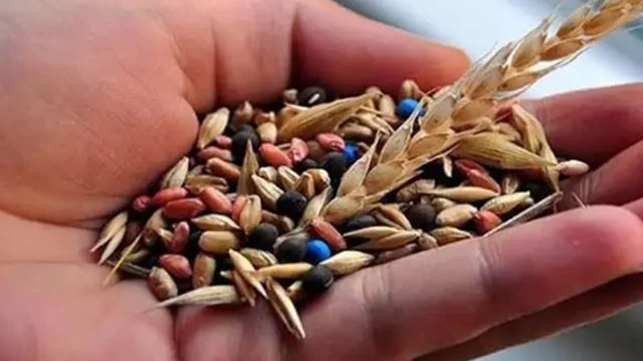 Türkiye'de yeni bir döneme başladılar: ASC 2026'da Türkiye'ye geliyorlar! Küresel tohum pazarında tarihi karar