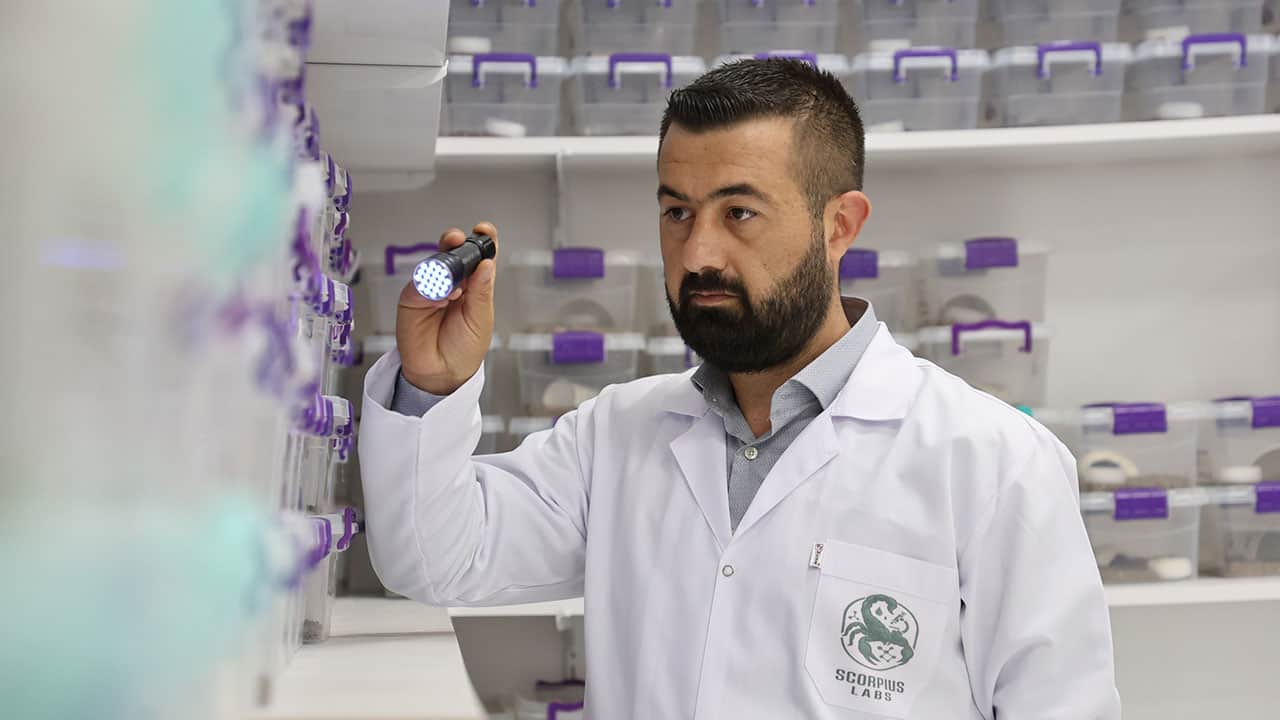 Foto - Türkiye'den Avrupa'ya gönderilmesi hedefleniyor! Kanser tedavisi için ilaç üretiminde kullanılıyor