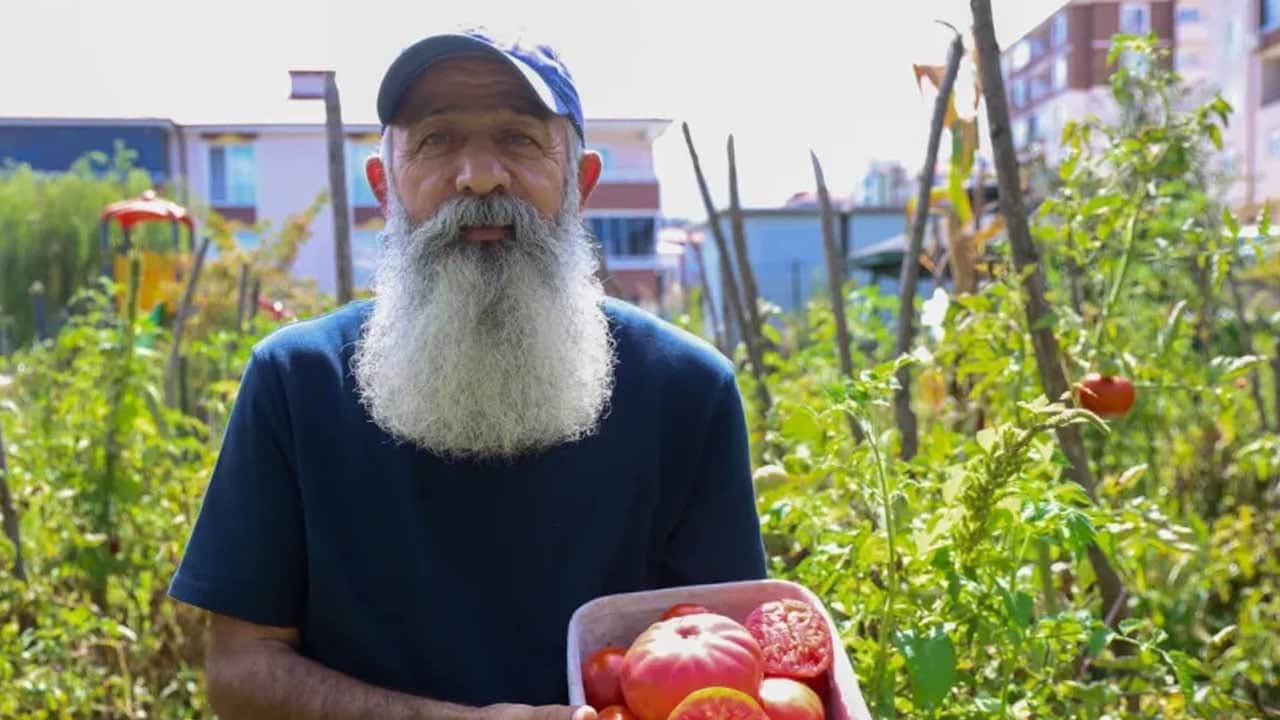 Foto - Türkiye'nin dört bir kentinden talep arttı: Ata tohumundan yetiştirilen domatesi bedava dağıtıyor! 
