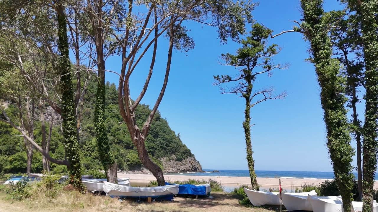 Foto - Türkiye'nin saklı cennetlerinden! Karadeniz’in mavisi ormanların yeşiliyle buluşuyor