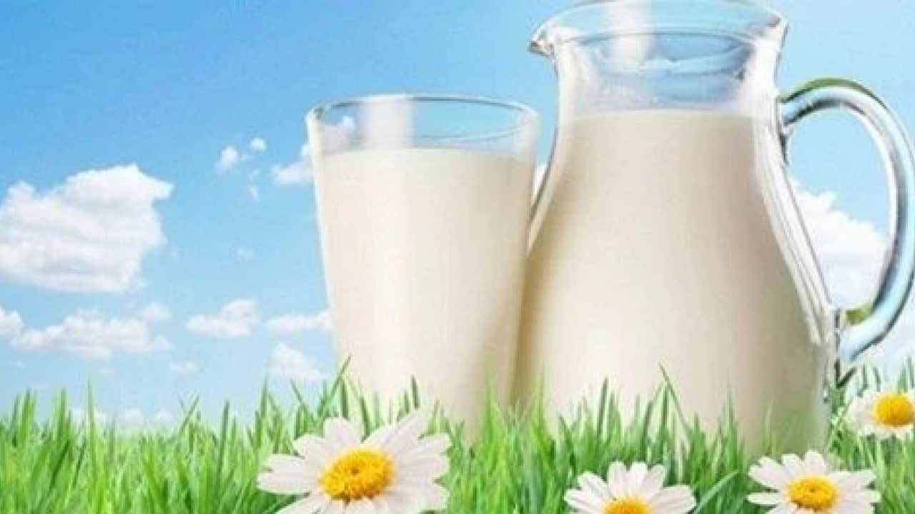 Foto - Türkiye'nin süt devi iflastan kurtuldu! 'Çok çalışıp borcumuzu ödeyeceğiz' diyerek duyurdular