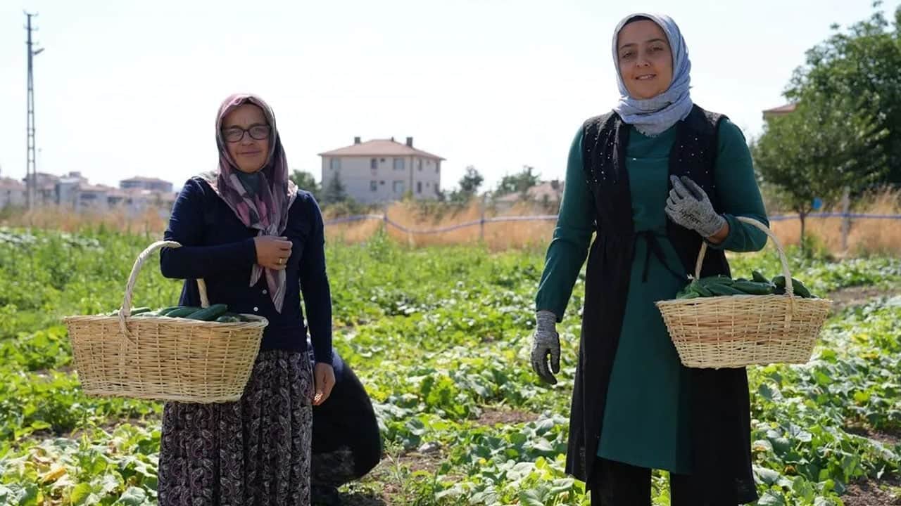 Foto - Türkiye'nin yeşil altını: Meyve ve sebze ile turşu doğal yöntemle, pişiriliyor, 45 çeşidiyle dünyada ilgi görüyor