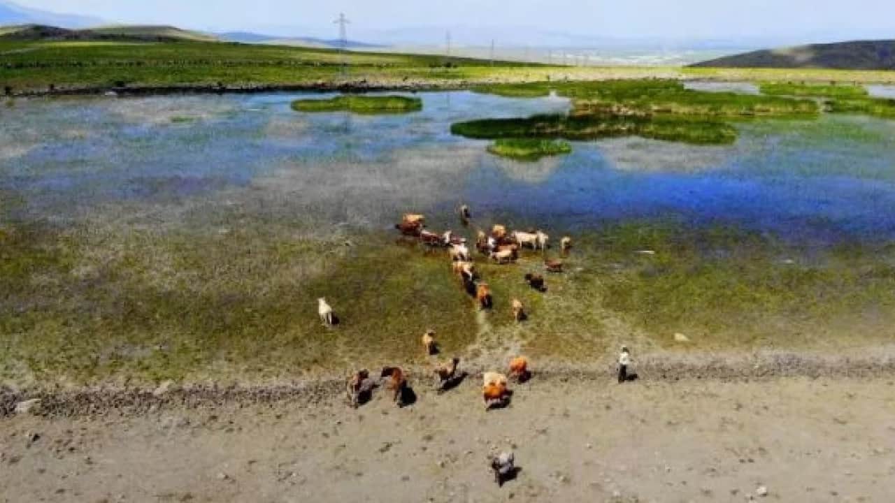 Foto - Türkiye'ye müjdeli haberi verdiler: Kuraklık barajları kurutmuştu!