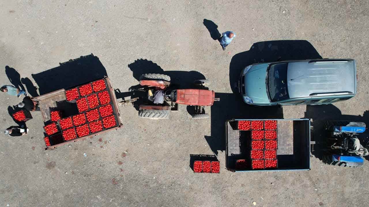 Foto - Türkiye’ye örnek model! 10 dakikada tarladan vatandaşa