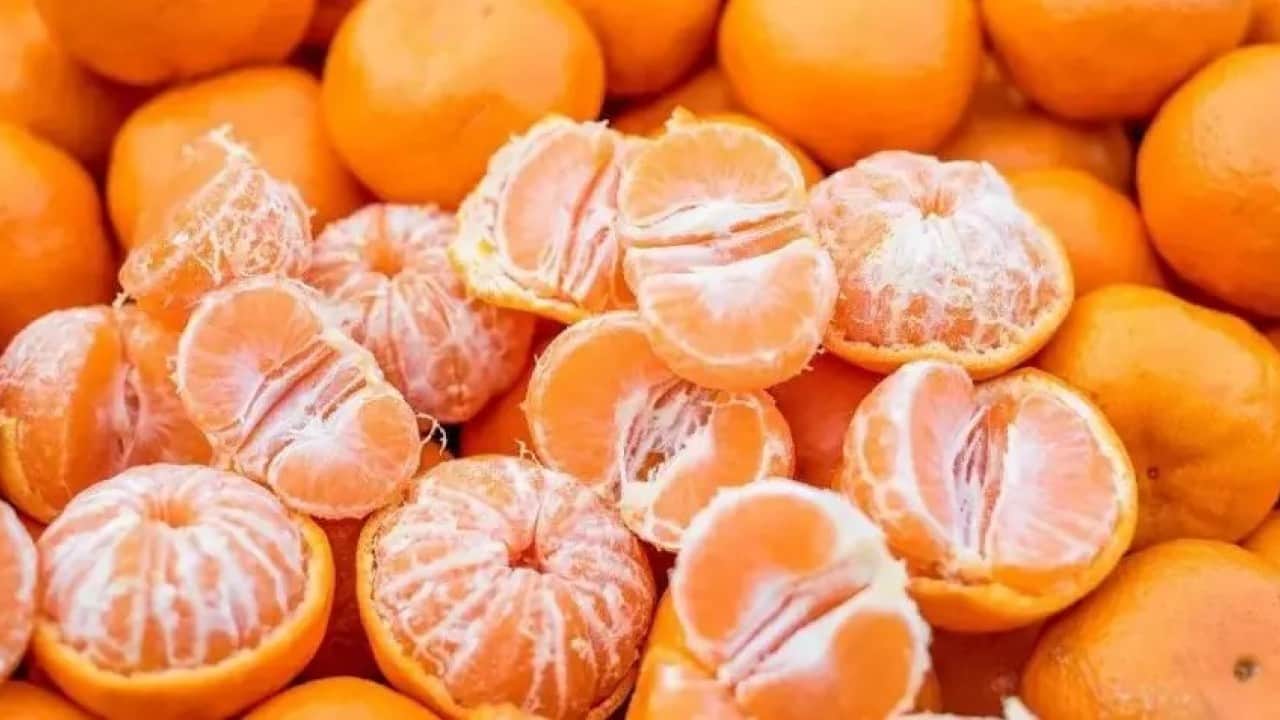 Foto - Türkiye'yi sarsan mandalina skandalı! Artık yemeye korkacaksınız, hepsi imha edildi