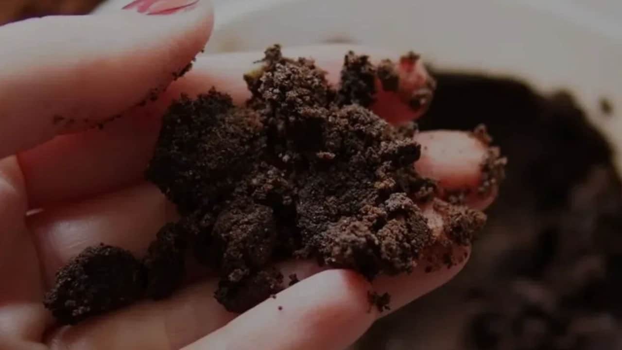 Foto - Tuvalete dökülen kahve telvesi adeta mucize: Koyun! Bu yöntemi duyunca çok şaşıracaksınız