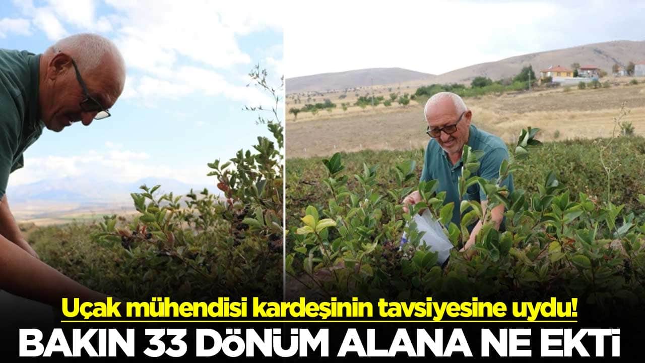 Uçak mühendisi kardeşinin tavsiyesine uydu! Bakın 33 dönüm alana ne ekti