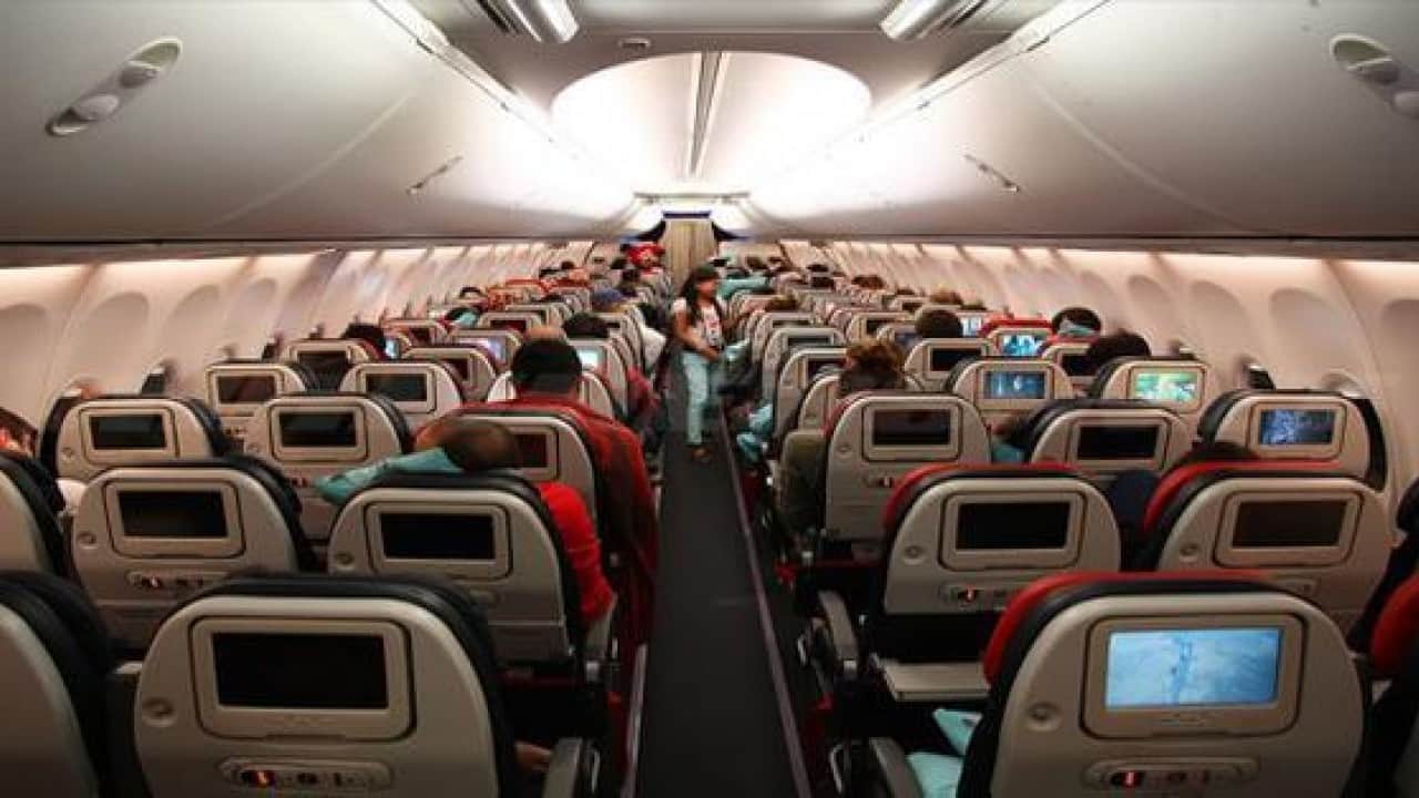 Foto - Uçakta iki kişiyi ısırdı: Olay akıllara 'Türkiye’yi satın alırım' diyen Petlas'ın patronunu getirdi