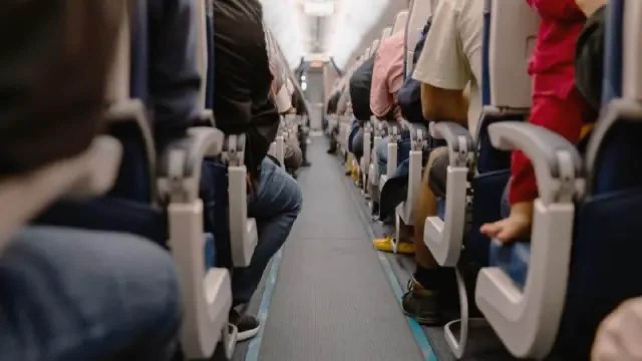 Foto - Uçakta iki kişiyi ısırdı: Olay akıllara 'Türkiye’yi satın alırım' diyen Petlas'ın patronunu getirdi