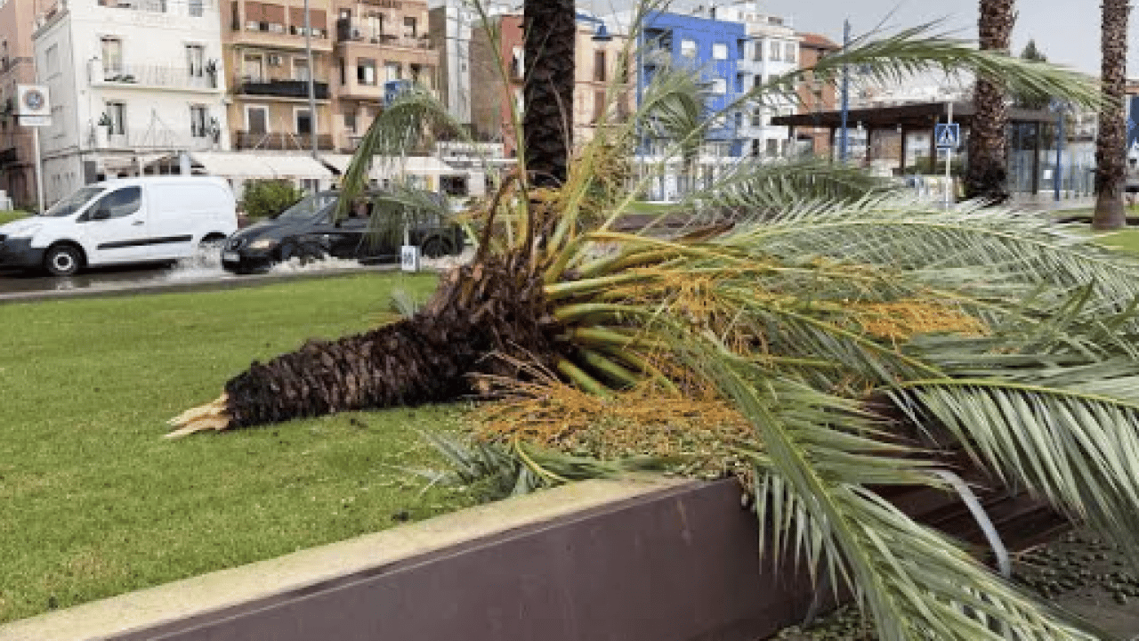 Foto - Ülke felaketi yaşıyor: Fırtına ve dolu savaş alanına çevirdi!