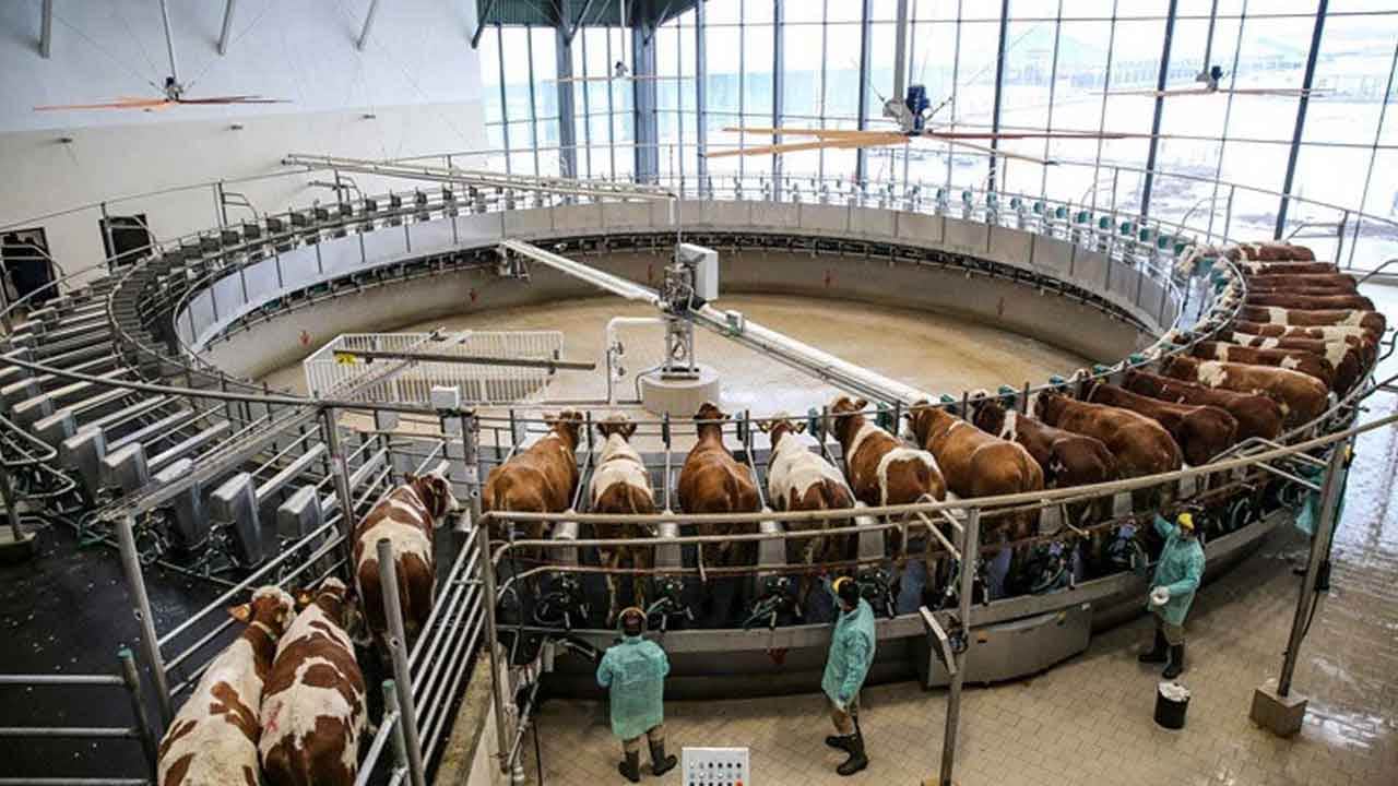 Foto - Ülkenin Koç'u olarak gösteriliyordu: Sütaş ile ortaklığı bir anda sonlandırdı