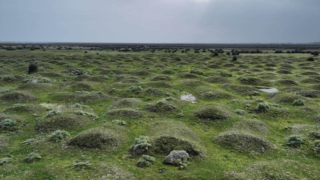 Foto - UNESCO Dünya Mirası Geçici Listesi'nde! Kızılırmak Deltası’nda şimdi bahar zamanı