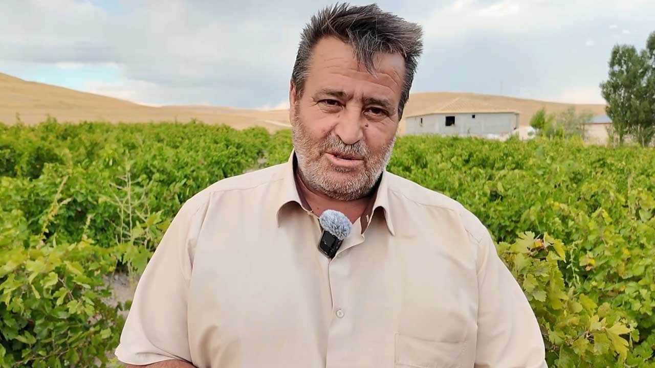 Foto - Urartulardan kalan 2800 yıllık miras: Erciş üzümünde hasat zamanı!