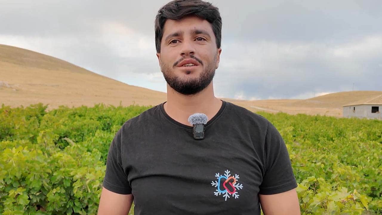 Foto - Urartulardan kalan 2800 yıllık miras: Erciş üzümünde hasat zamanı!