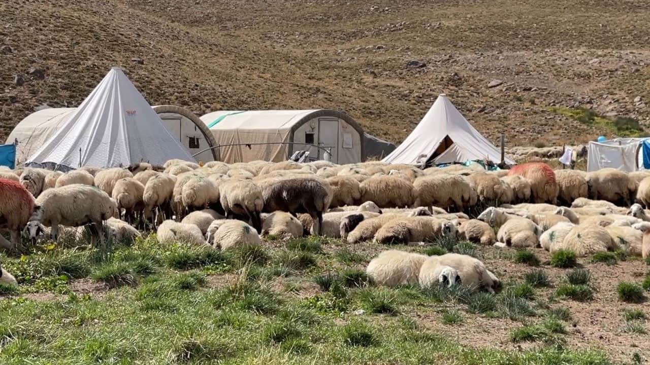 Foto - Üreticiler kara kara düşünüyor! 150 bin TL maaşa rağmen çalışacak çoban yok