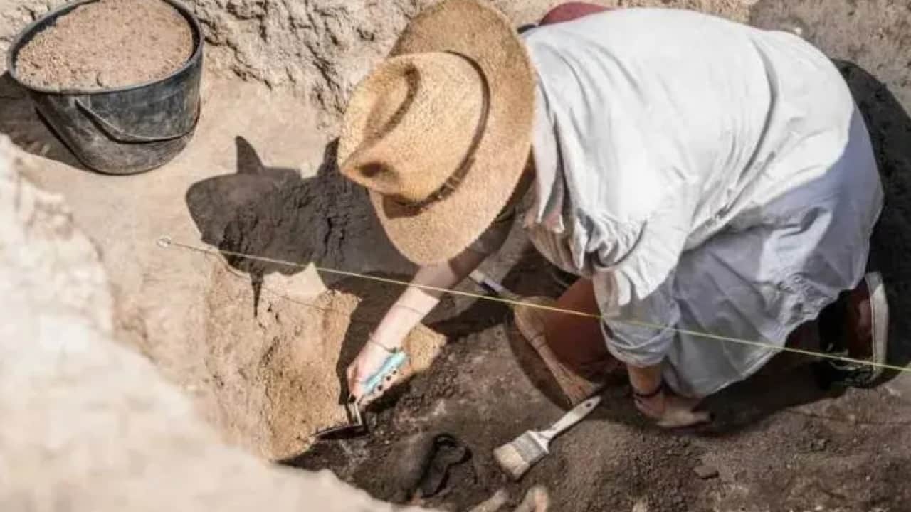 Foto - Üstündeki yazı dikkat çekti: Pirinç tarlasında 2 bin yıllık yüzük!