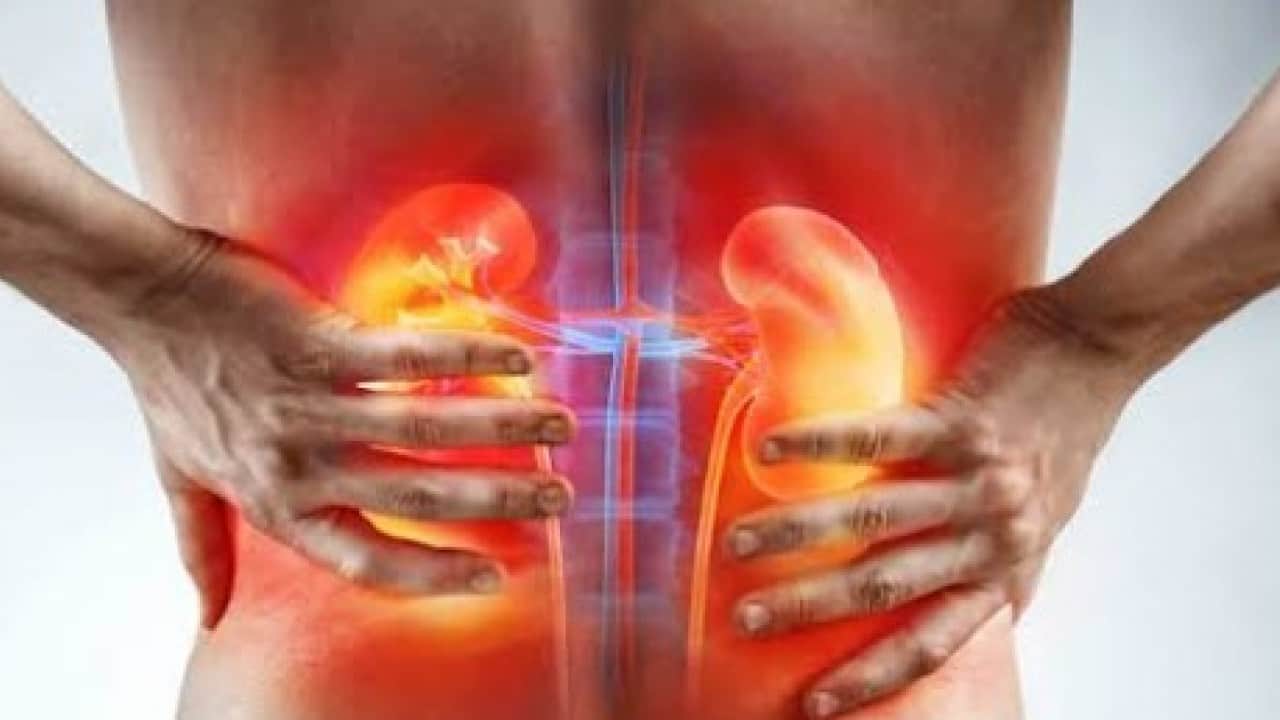 Foto - Uzmanı özellikle uyardı! ‘Yaz sıcakları böbrek taşını tetikliyor'