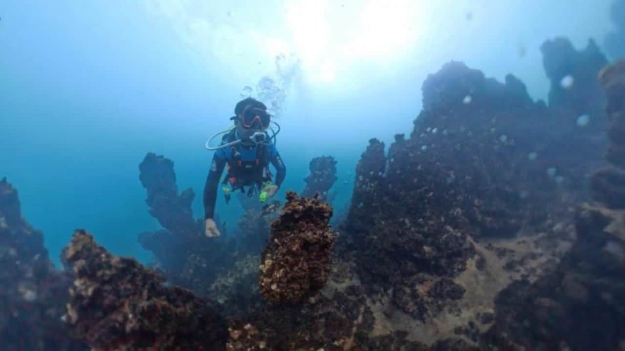 Van Gölü'nde Mars'ın izleri aranıyor! Bilim insanları çalışmalara başladı