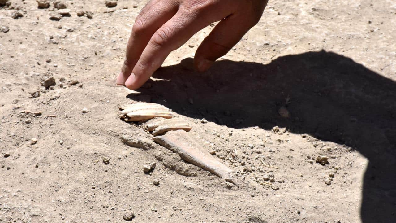 Foto - Van’daki höyükte 5 bin 500 yıllık geçmişin izleri araştırılıyor