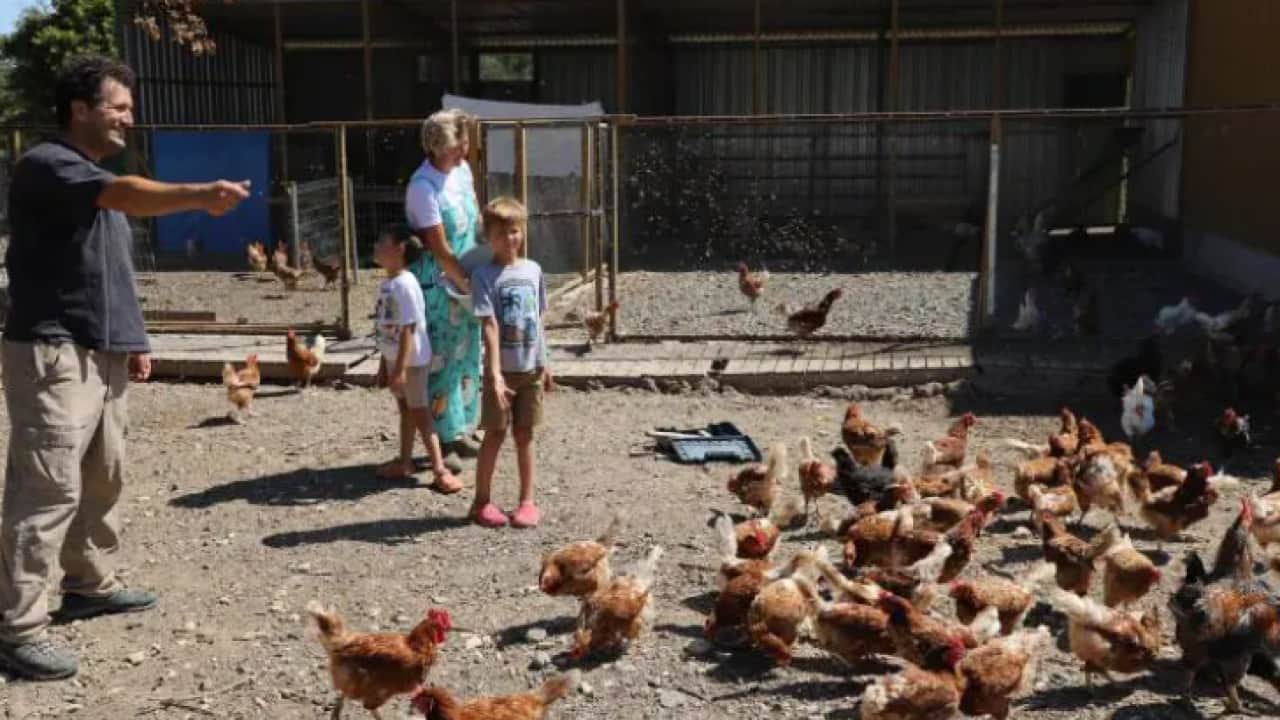 Foto - Verdikleri karar herkesi şaşırttı! Yurt dışındaki kariyeri bırakıp çiftçi oldular!