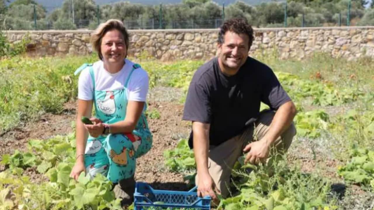 Verdikleri karar herkesi şaşırttı! Yurt dışındaki kariyeri bırakıp çiftçi oldular!