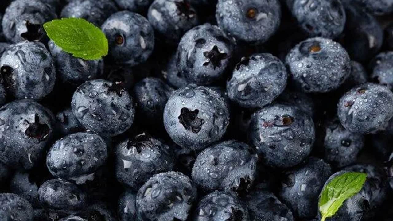 Foto - Yaban mersini beyaz saçlar için çözüm: Her gün 1 tane tüketin! Onlar masum görünüyor ama kanser riski yüksek 