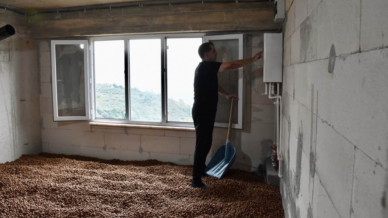 Foto - Yağmur durmayınca iş başa düştü! Fındığını yerden ısıtma sistemiyle kurutuyor