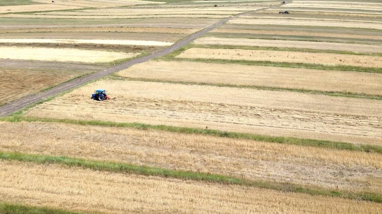 Foto - Yağmurlar bereket getirdi! Rekolte yüzde 60 arttı