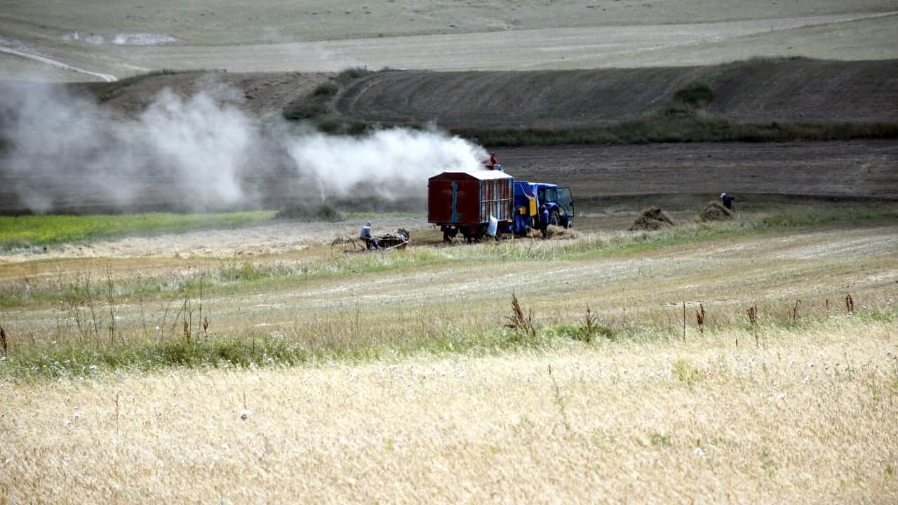 Foto - Yağmurlar bereket getirdi! Rekolte yüzde 60 arttı