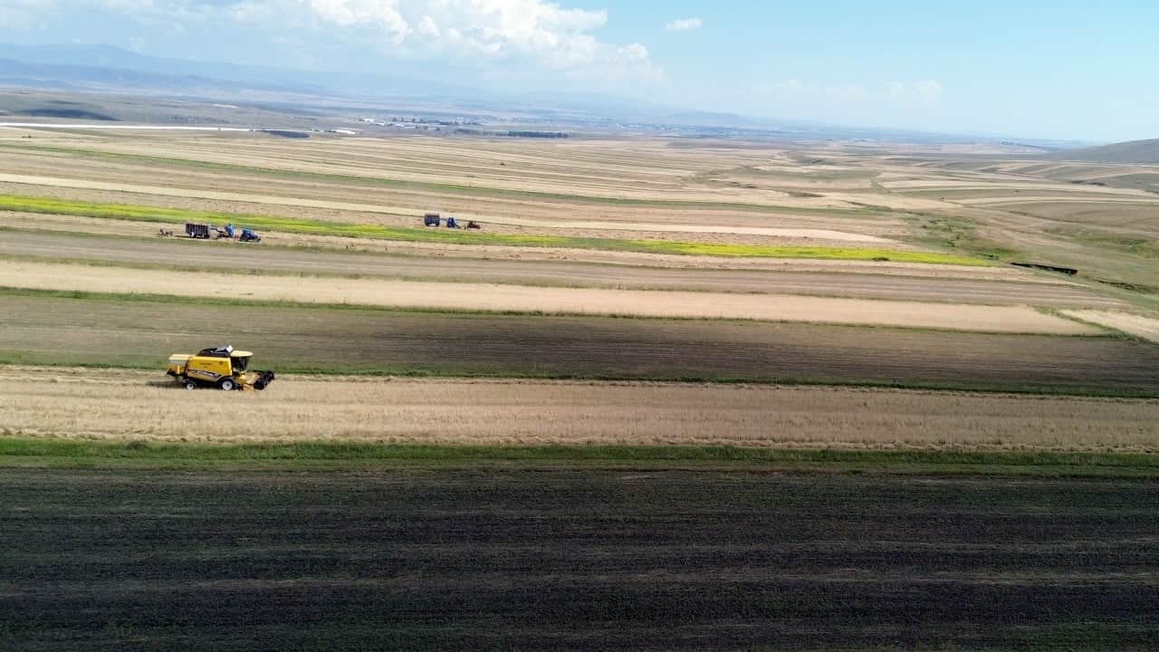 Foto - Yağmurlar bereket getirdi! Rekolte yüzde 60 arttı