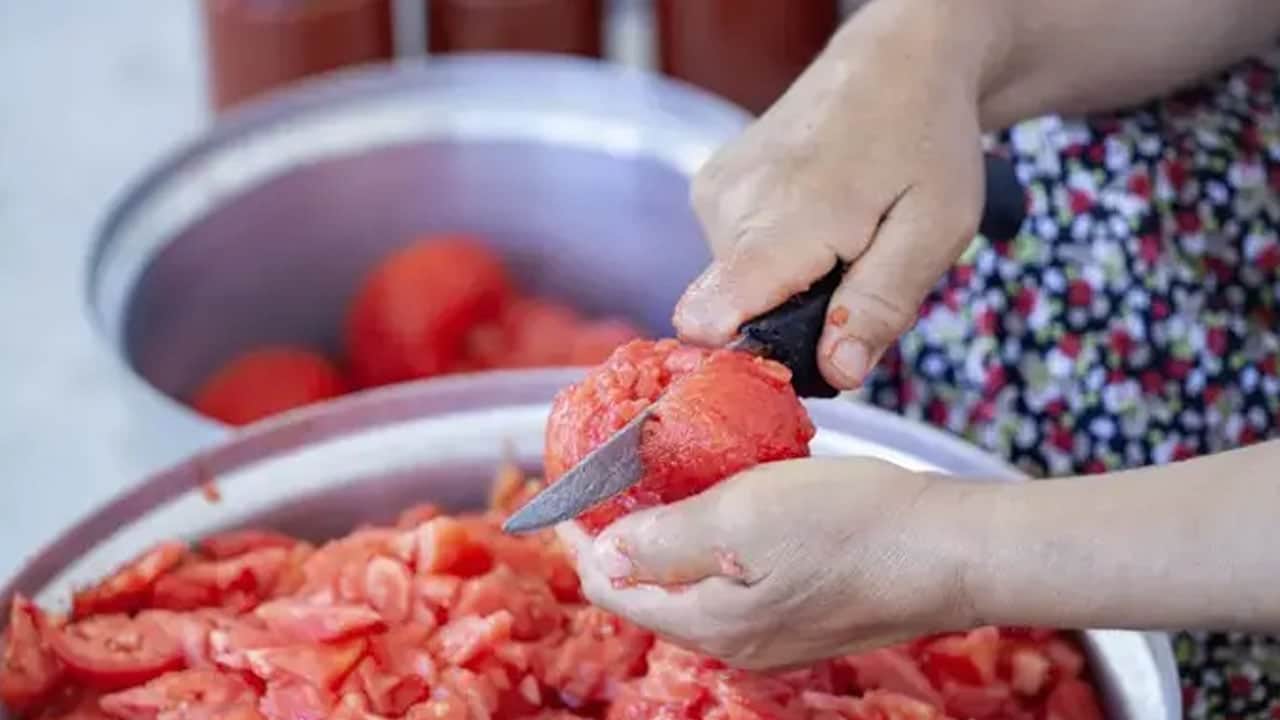 Foto - Domates seçerken iki kere düşünün: Bu yanlış seçim tamamen hata... Yanlış biliniyor... 