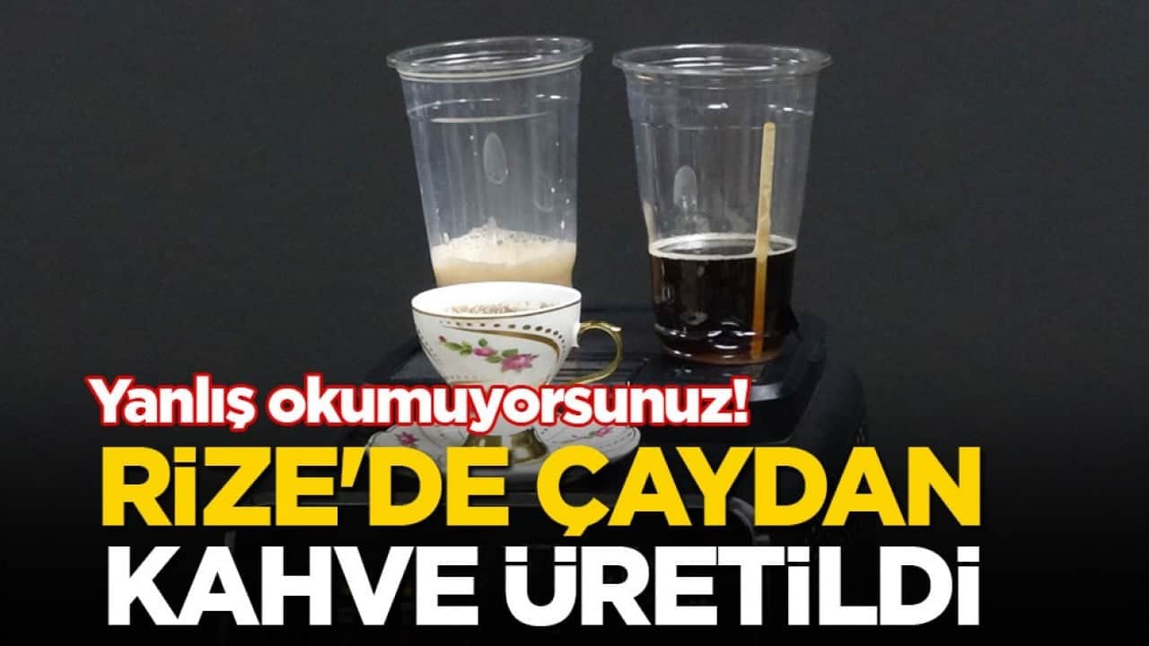 Yanlış okumuyorsunuz! Rize'de çaydan kahve üretildi