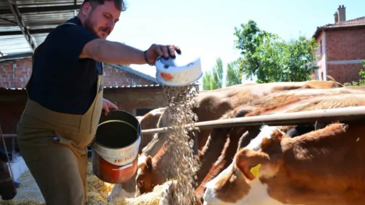Foto - Yapamazsın sözlerine aldırış atmedi: Bu iş için memurluğu bıraktı!