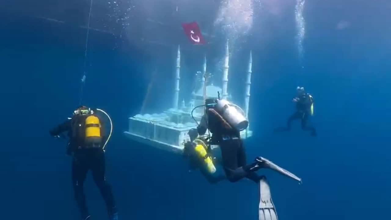 Foto - Yapay resifler göz kamaştırıyor! Saros’un altında yeni bir dünya 