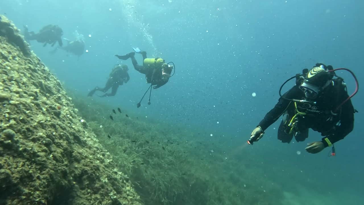 Foto - Yapay resifler göz kamaştırıyor! Saros’un altında yeni bir dünya 