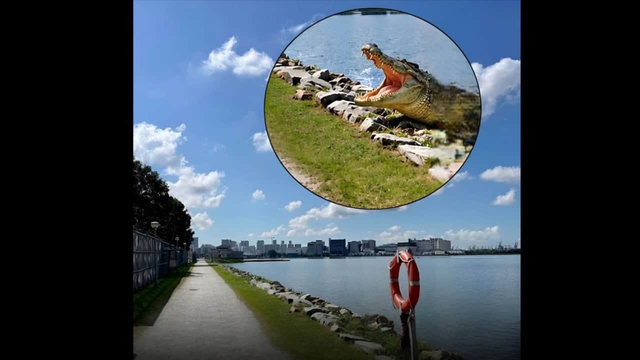 Foto - Yapay zekâyla sahte timsah görüntüsü oluşturdu! Şimdi hapis cezasıyla karşı karşıya
