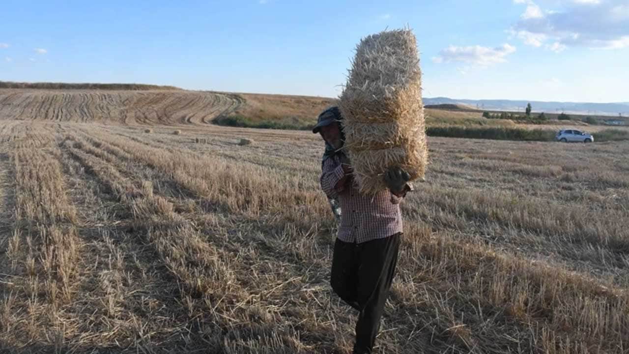 Foto - Yaz tatilini değerlendirmek isteyen öğrencilere gelir kapısı! Bir günde 7 bin lira kazanıyorlar
