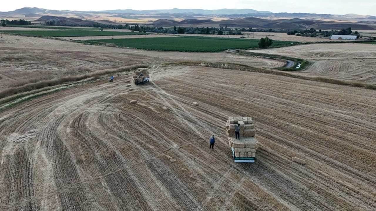 Foto - Yaz tatilini değerlendirmek isteyen öğrencilere gelir kapısı! Bir günde 7 bin lira kazanıyorlar