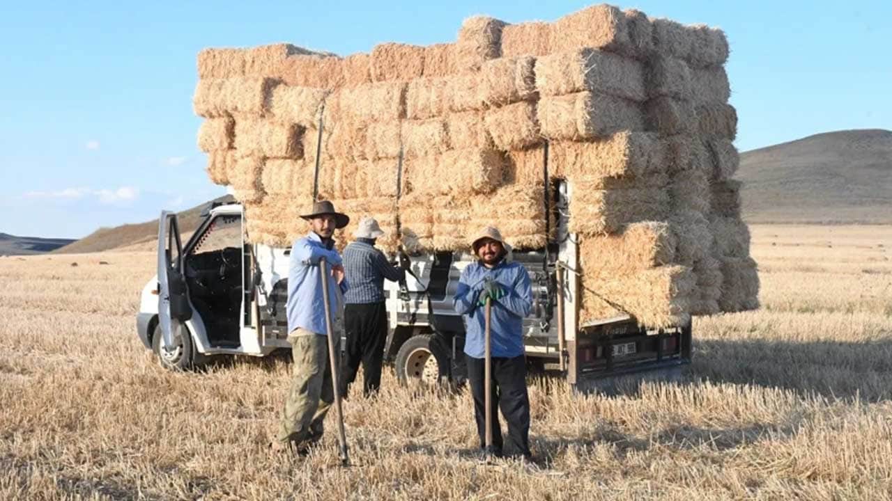 Foto - Yaz tatilini değerlendirmek isteyen öğrencilere gelir kapısı! Bir günde 7 bin lira kazanıyorlar