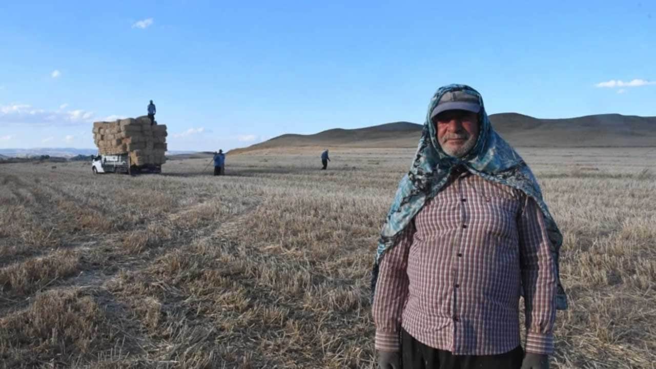 Foto - Yaz tatilini değerlendirmek isteyen öğrencilere gelir kapısı! Bir günde 7 bin lira kazanıyorlar