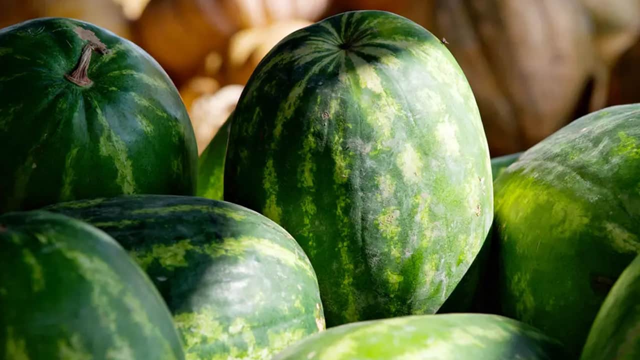 Foto - Yazın karpuzu böyle tüketin etkili: Tansiyona karşı Sitrülin kalkanı çare olur! Tansiyonu bıçak gibi dengeliyor...