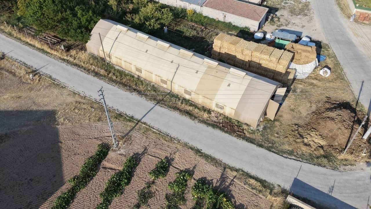 Foto - Yazın serin kışın sıcak! Besici rahat Hayvanlar mutlu