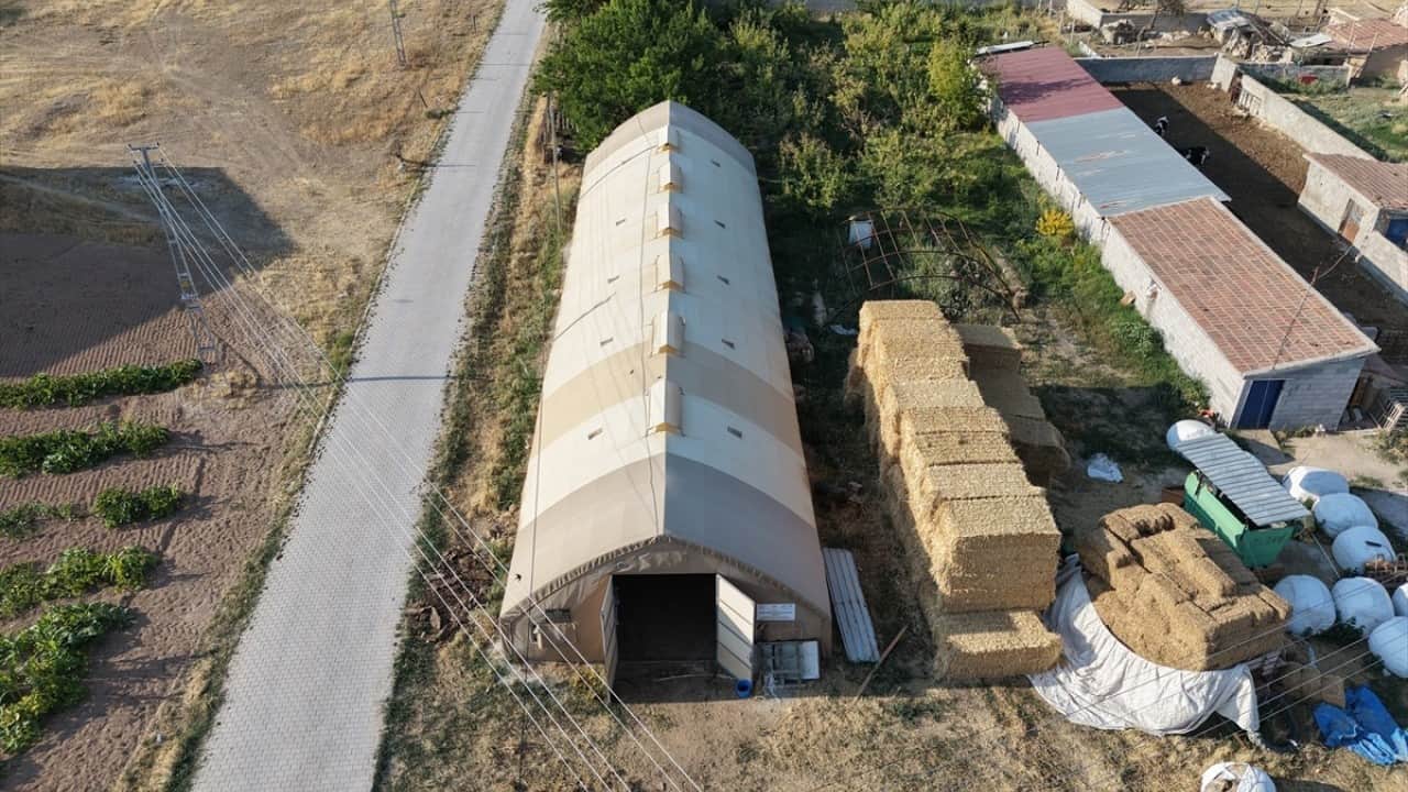 Foto - Yazın serin kışın sıcak! Besici rahat Hayvanlar mutlu