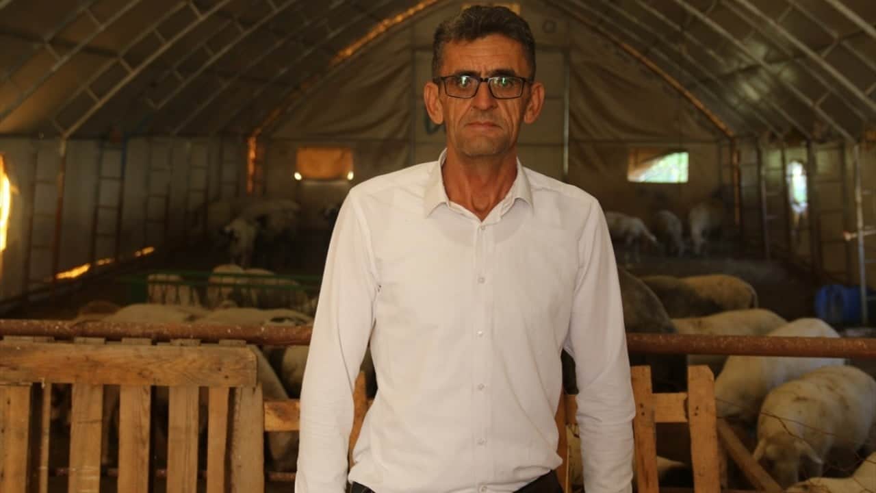 Foto - Yazın serin kışın sıcak! Besici rahat Hayvanlar mutlu