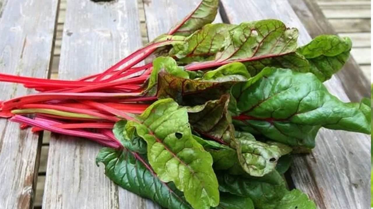 Foto - Yemek listesinde en besleyici arasında pazı seçildi ama bebek için tehlike büyük! Uzmanlar uyardı