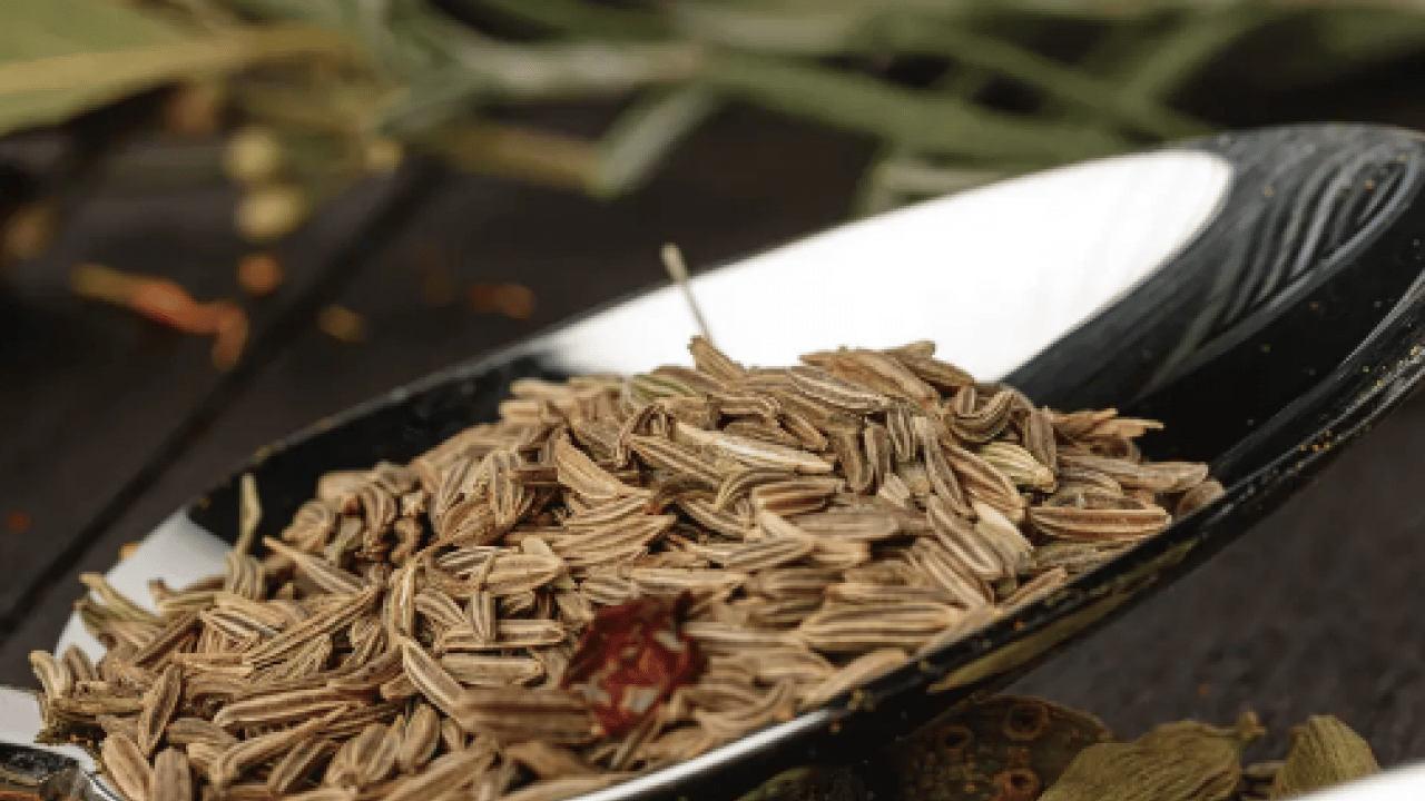 Foto - Yemeklere tuz yerine lezzet katacak 4 şifalı baharat: Yemeklerin aromasına derinlik katarken